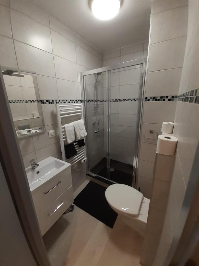 Les Appartements Du Saint Hubert Arcis-sur-Aube Luaran gambar