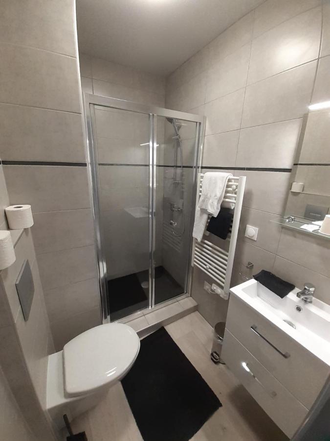Les Appartements Du Saint Hubert Arcis-sur-Aube Luaran gambar