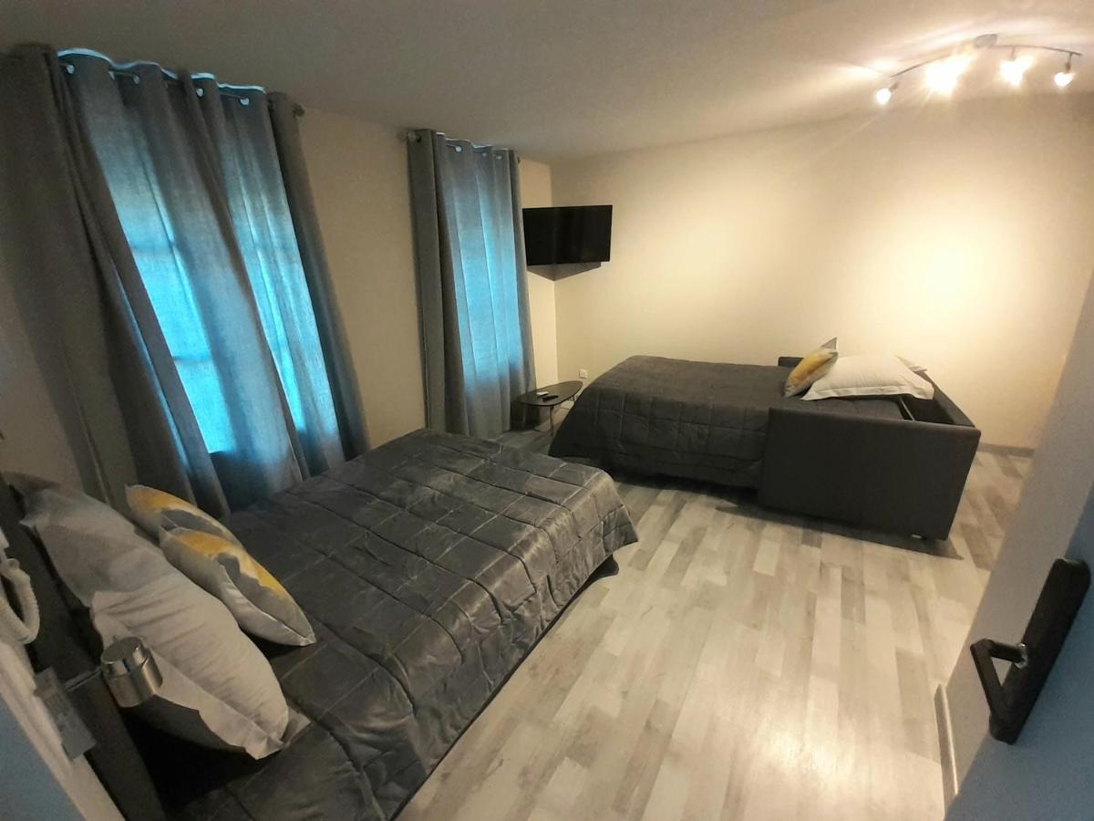 Les Appartements Du Saint Hubert Arcis-sur-Aube Luaran gambar